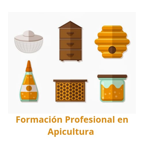 Formación Profesional en Apicultura